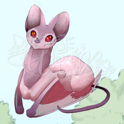 Flying Ghost Sphynx
